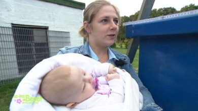 sind henrik und lisa getrennt